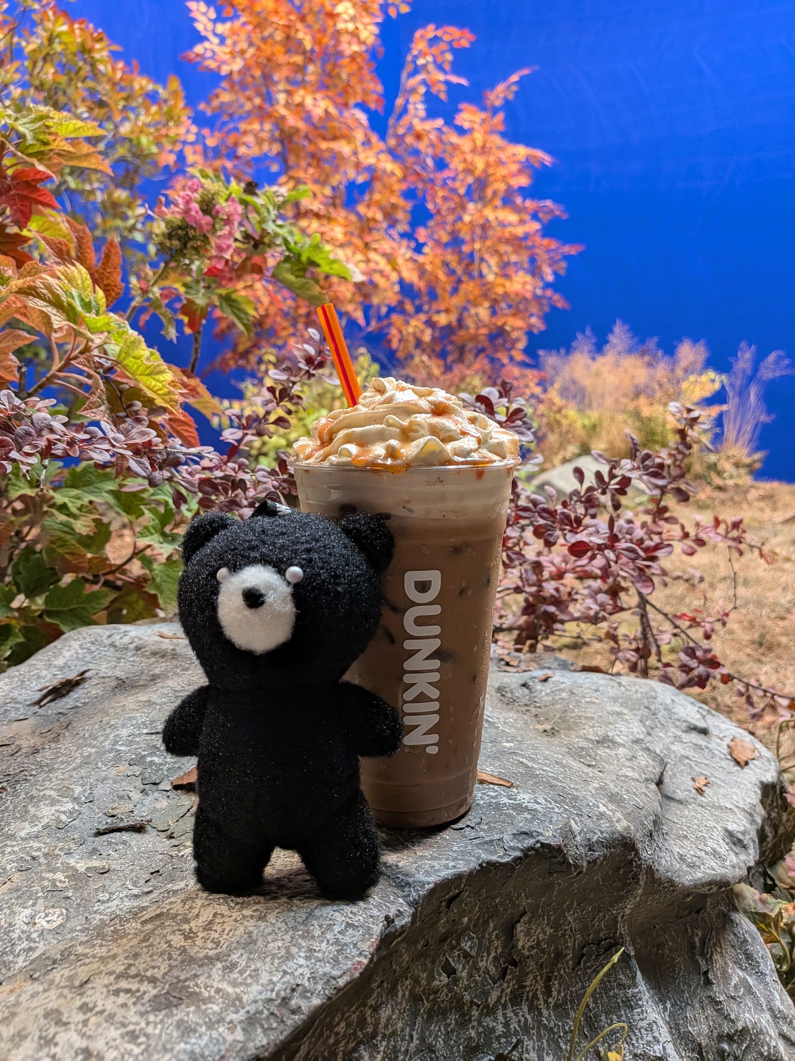A small black plush toy and a Dunkin’ latte sit on a prop rock among autumn foliage on the blue-screen set.